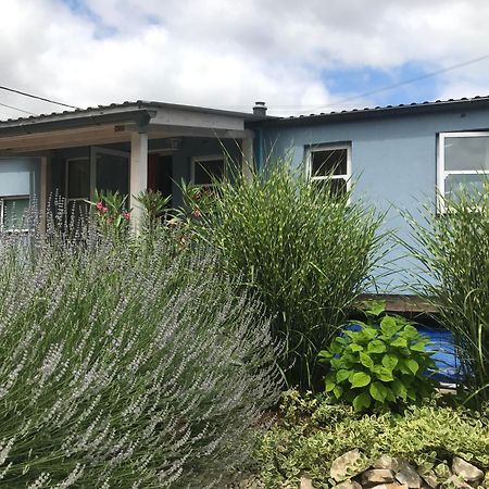 Kisvakond Vendeghaz Appartement Jeno Buitenkant foto