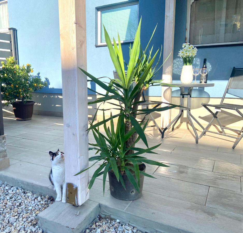 Kisvakond Vendeghaz Appartement Jeno Buitenkant foto