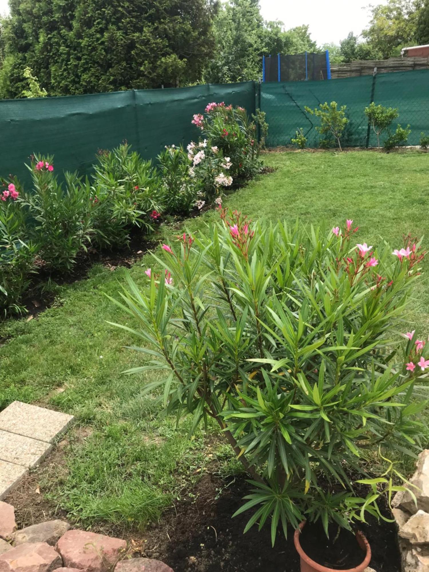 Kisvakond Vendeghaz Appartement Jeno Buitenkant foto
